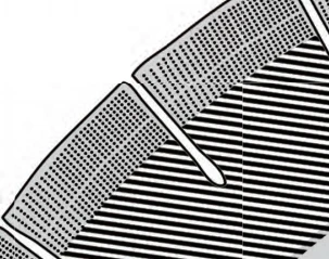 product-303-239